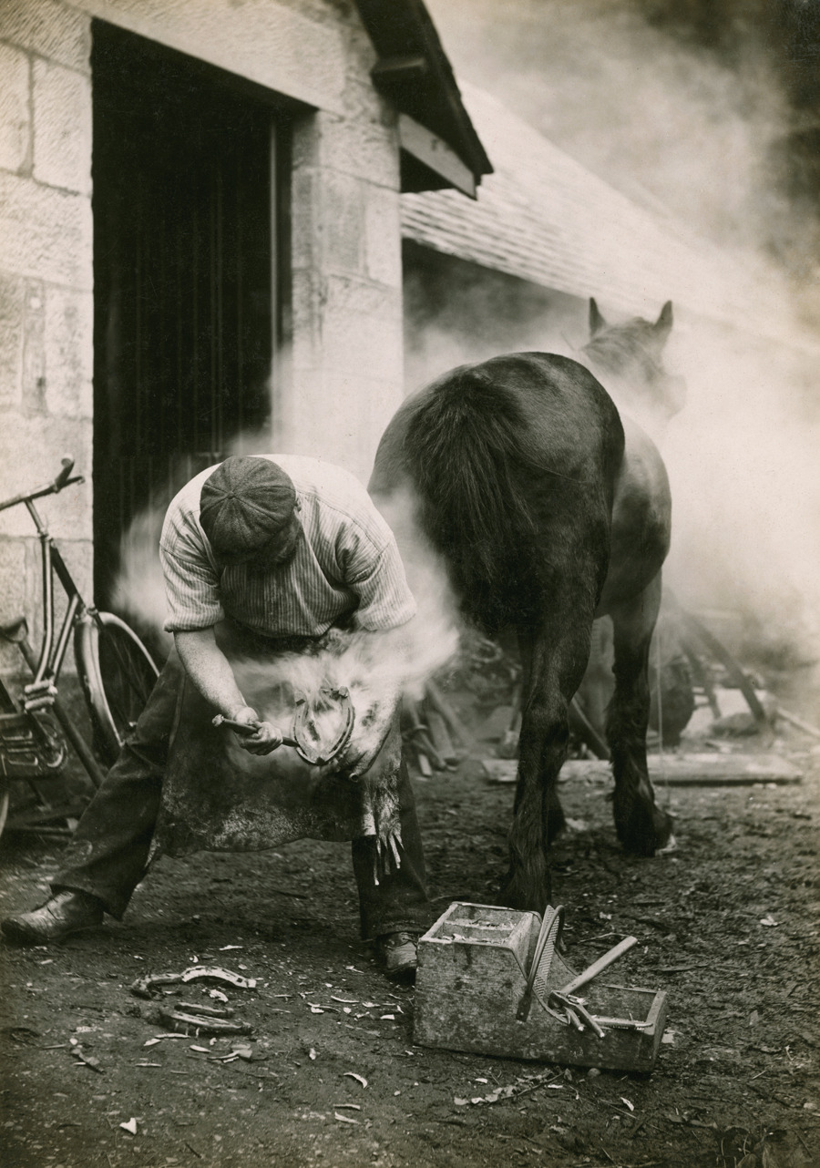 natgeofound:  A farmer buring the hoof of a horse before shoeing it in Scotland,