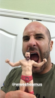 deidrelovessheamus:  Cesaro posing with mini