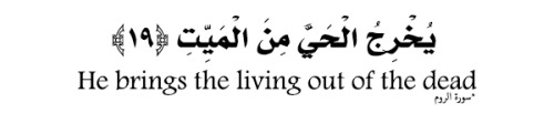 da-baddest-96:  mwoch:  Quran (30:19) سبحان الخالق  ✮ 