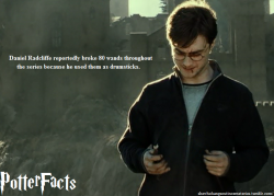 shewhohangsoutincemeteries:  PotterFacts