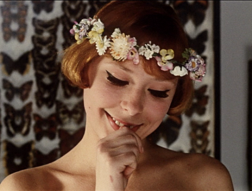 Daisies (1966)