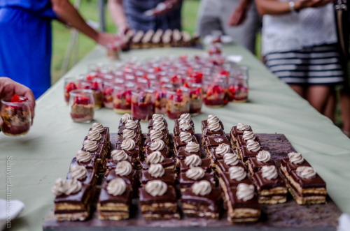 Riverbend Environmental Education Center: Farm to TableJune 2015, Gladwyne, PA By Schuyler LOriginal