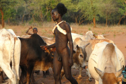 Hamar boy bull jumping, by Jean-Christophe