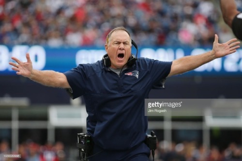 bill belichick