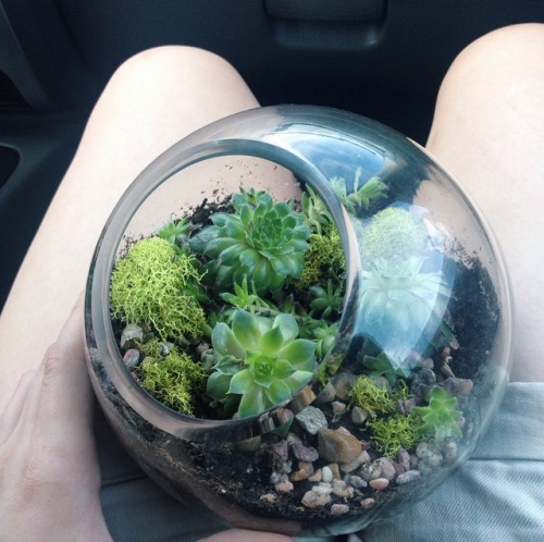 new little world