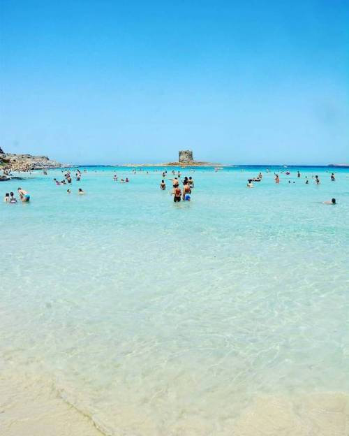 White, White beaches - Stintino, Sardinia Regrann from @v.victoria0205 @florenceale78 - Rather a Car