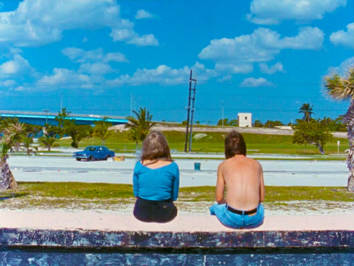 River of Grass (1994,  Kelly Reichardt)Blue Is the Warmest Color in Kelly Reichardt’s fillm