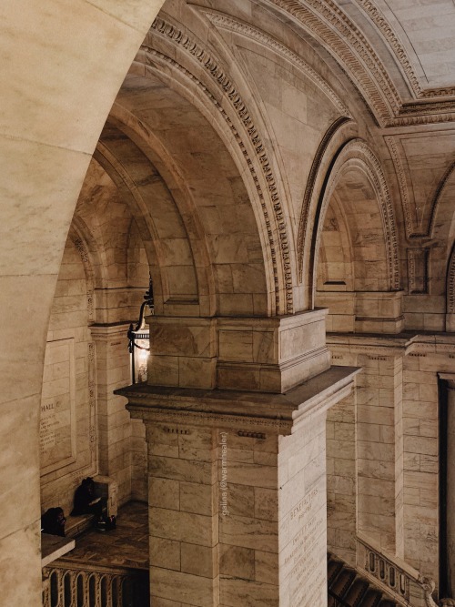 warmhealer:Libraries are so dreamy, New York Public Library is no exception