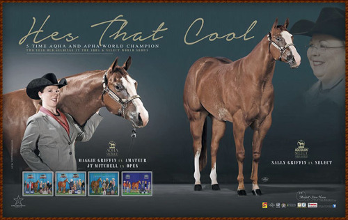hockboy:bolto:horse names make great reaction picturesI’m kiddin looks like he’s about to beat my as