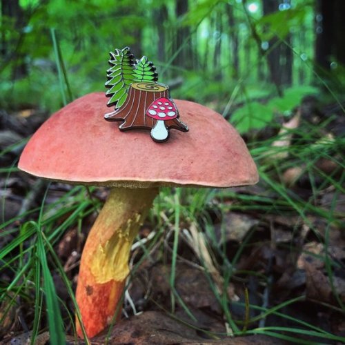 Forest Floor Pin //ForageWorkshop