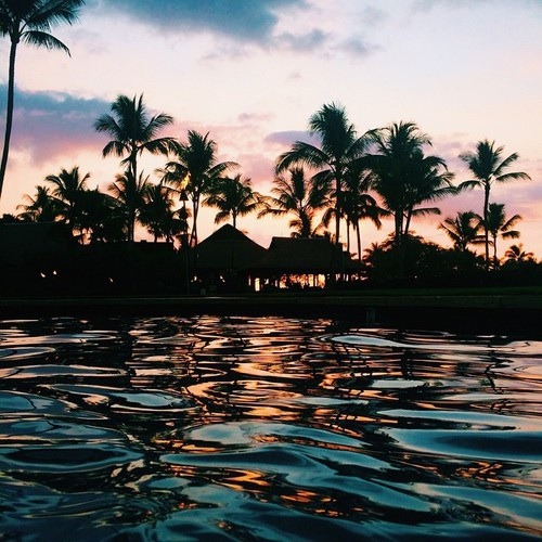 Peaceful Mind|Peaceful Life
