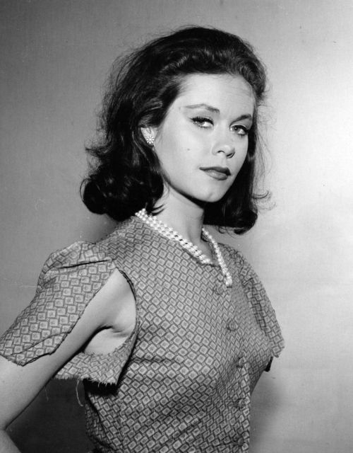 Elizabeth Montgomery Nudes &Amp;Amp; Noises  