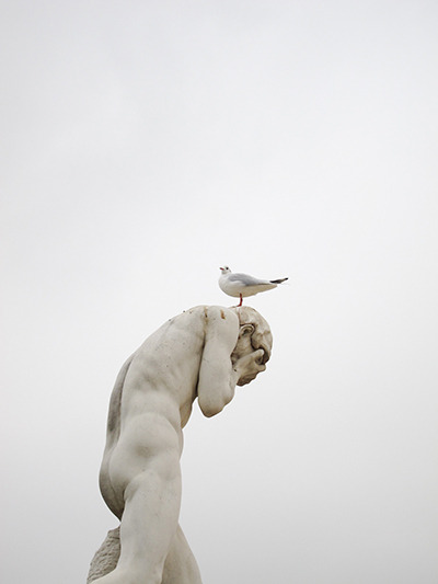 arpeggia: Munemasa Takahashi - Birds on The Heads