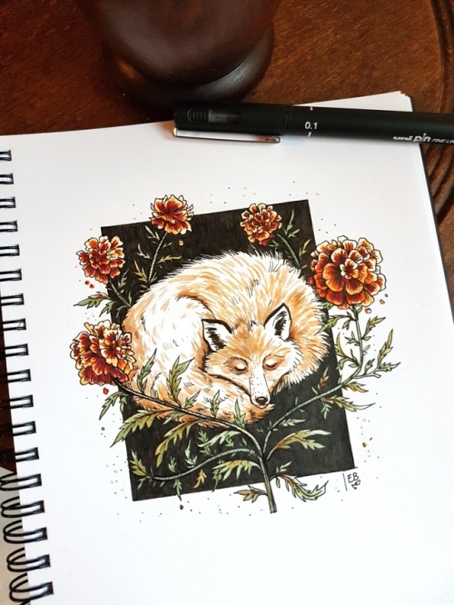 Inktober day 30 : Fox + Marigold 