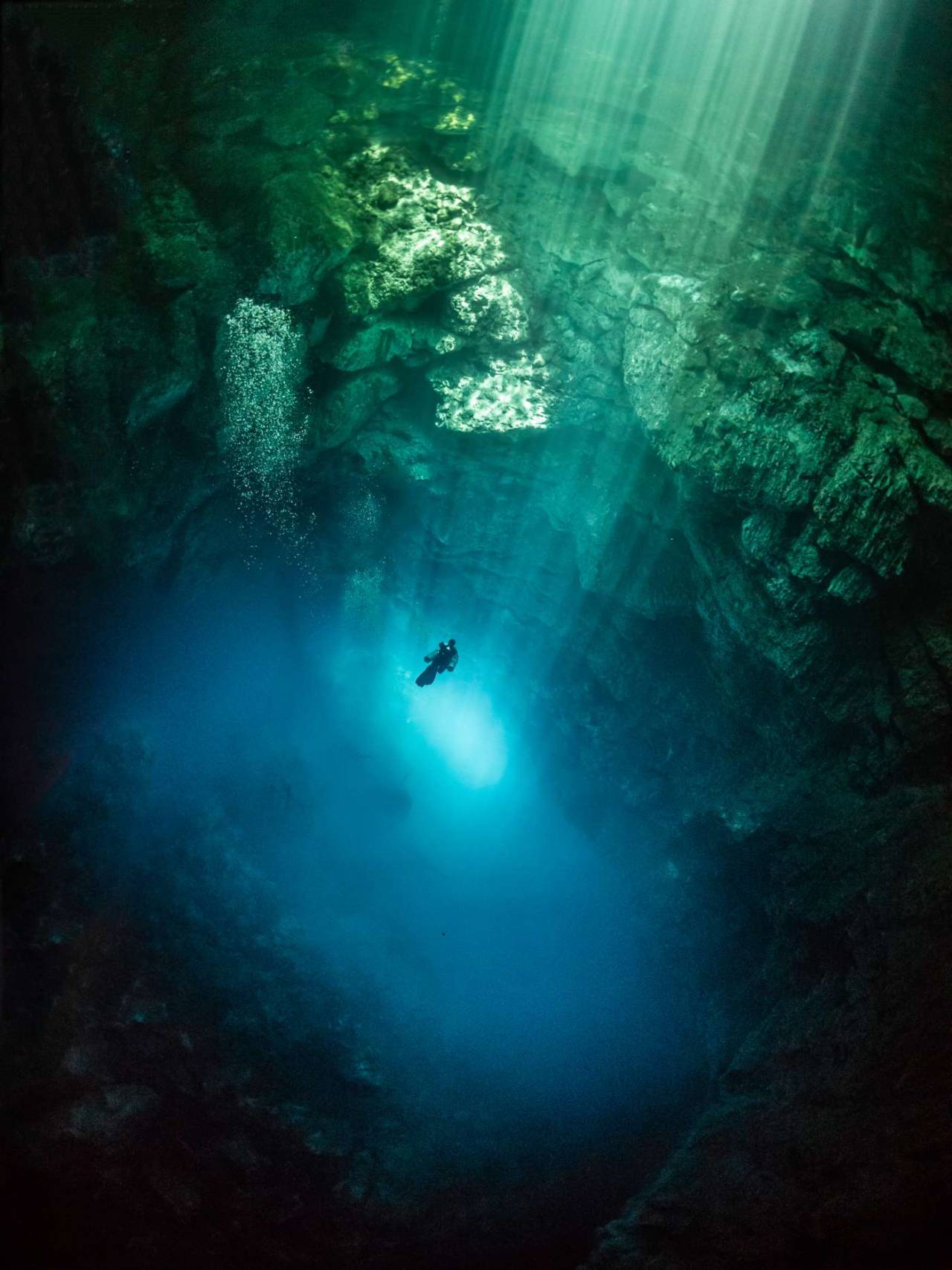 opticxllyaroused:    This Beautiful Underwater Cavern Vista Was Taken Beneath a Jungle