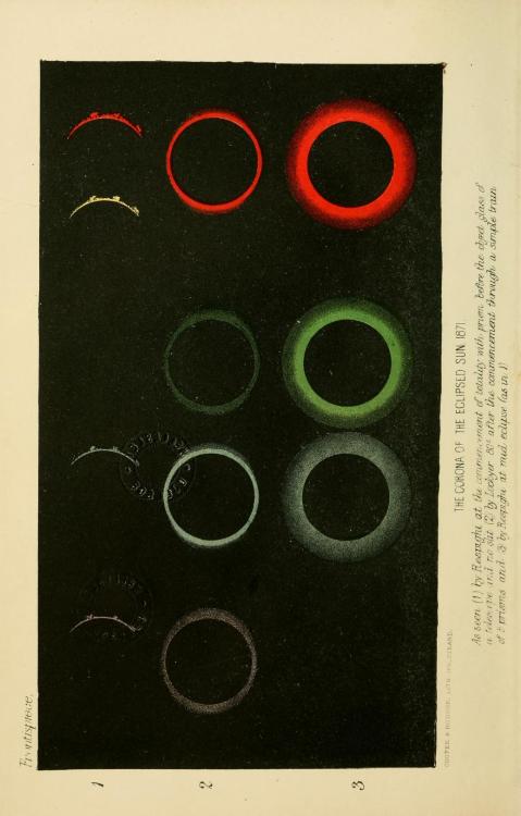 polychroniadis:The Corona of the eclipsed sun 1871. Illustration from the Contributions to solar phy