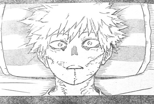 So, How Do We Feel About Child Tenko Looking Like Child Deku, And Teenage Touya Looking Like Bakugo?