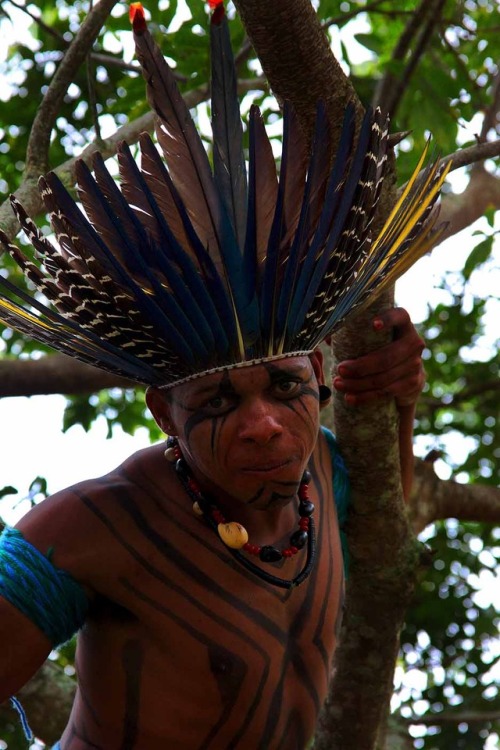 The Pataxó are an indigenous people in Bahia, Brazil with a population of about 11,800 individuals. 