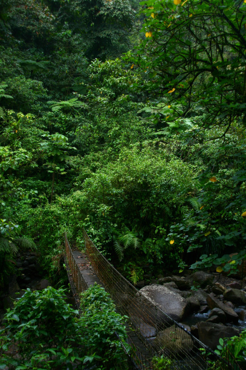 burning-soul: Raphael Bick