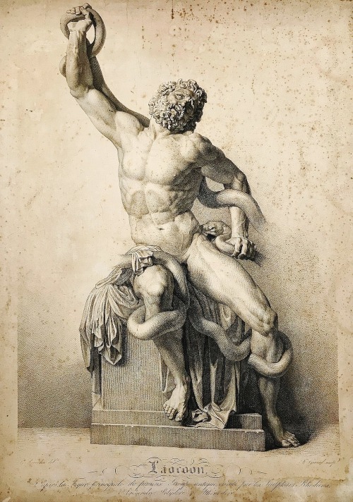 hadrian6:  Laocoon. 1861. Alexis Francois