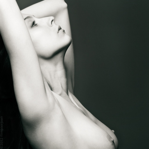 angelaavocado:  filmgoerjuan:  Angela Avocado. Of course I only realize what a killer profile she has *after* the shoot. Something to remember for the next time we shoot.  me by filmgoerjuan