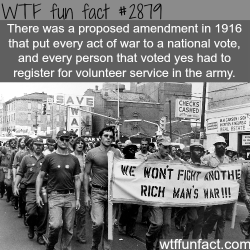 wtf-fun-factss:  How to stop war -  WTF fun facts