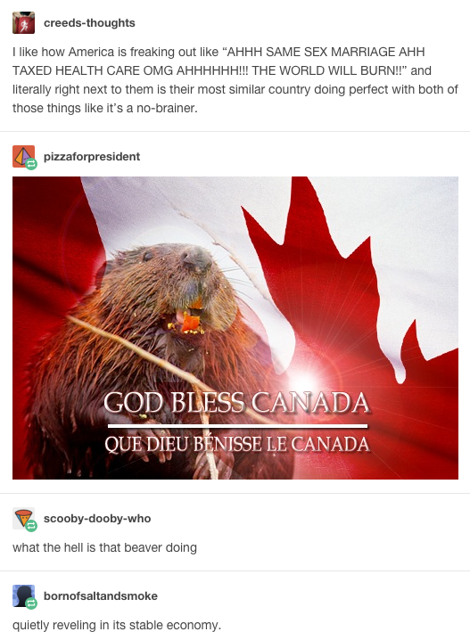 buzzfeedcanada:  19 Times Canada Mercilessly Trolled The Rest Of The World On Tumblr