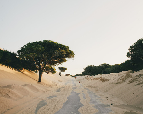 XXX salvalopez:  Tarifa, Spain. May 2012. photo