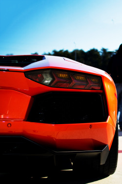  Aventador Rear | © | AOI 