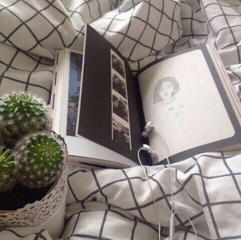 🖤🗡️🌸.Soft November ? 