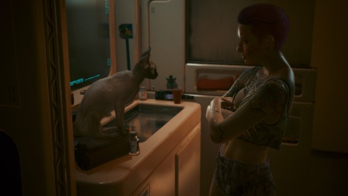 Cat Concert (Private Performance)