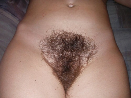 lovesithairy:  sweet love nest !!!