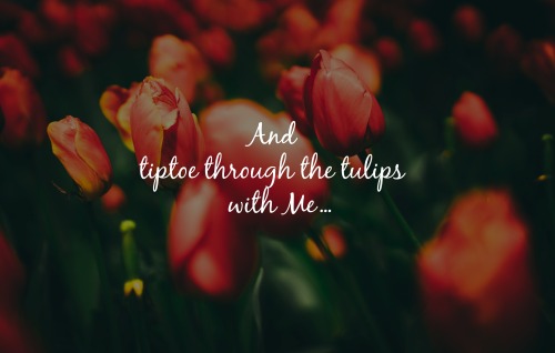 Tiptoe With Me… ✿