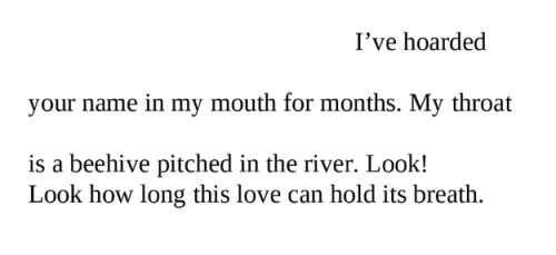 gnossienne:i) sierra demulder, today means amen / ii) shearwater, “animal life” / iii) nizar qabbani, a love letter / iv) love - as defined by children (x) 