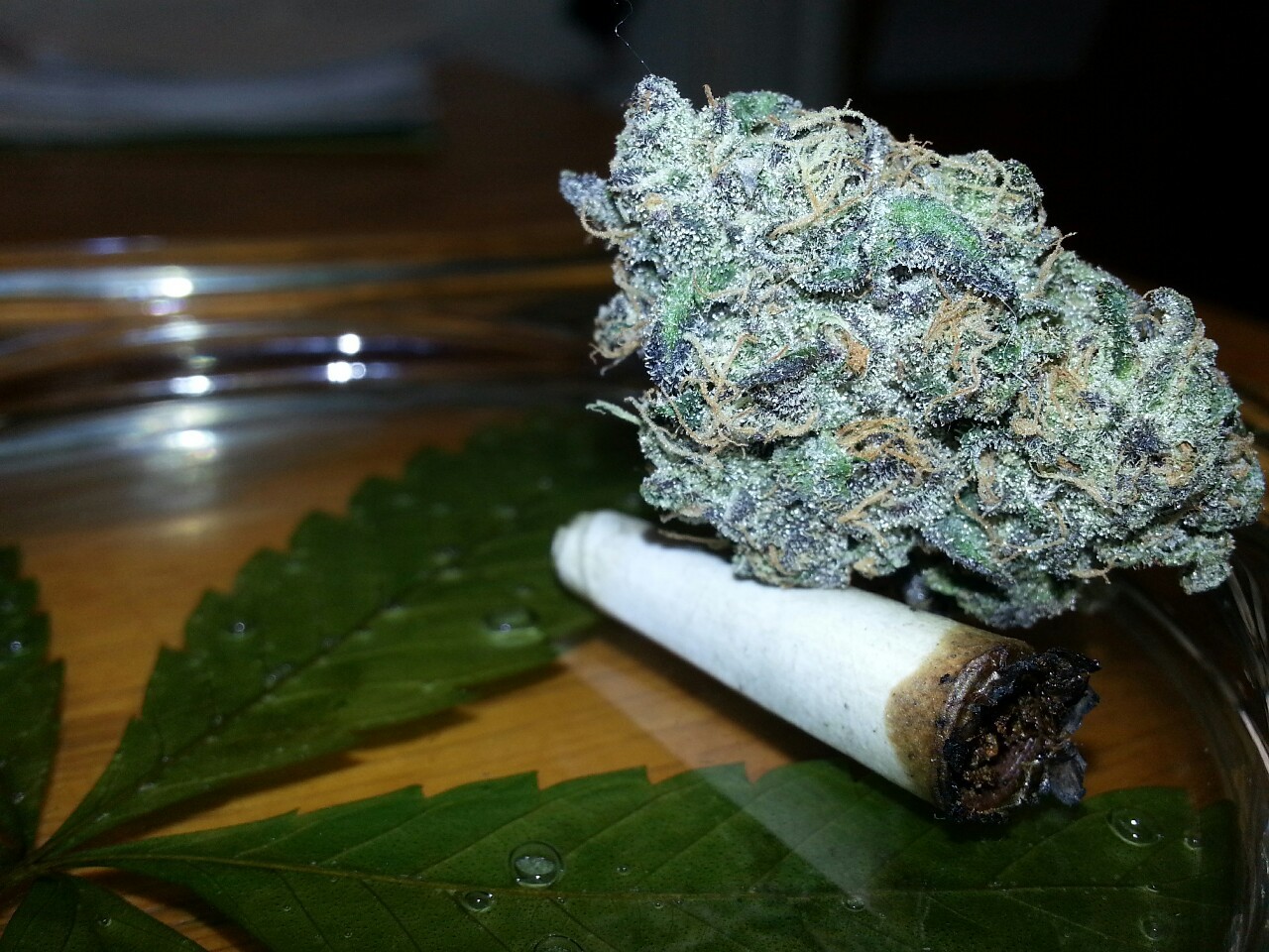 indica-lungs:  Before and after of this Santa Cruz Sherbet…