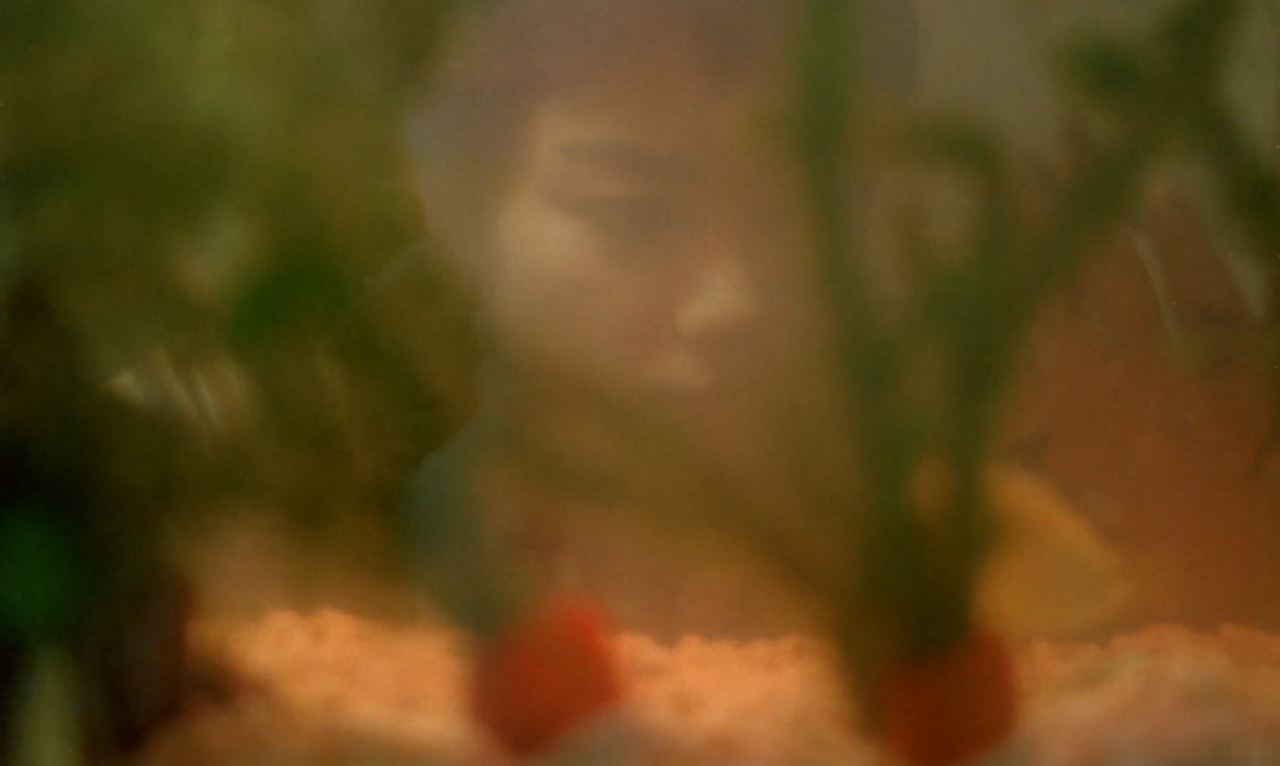 beingharsh:Chungking Express (1994), dir. porn pictures