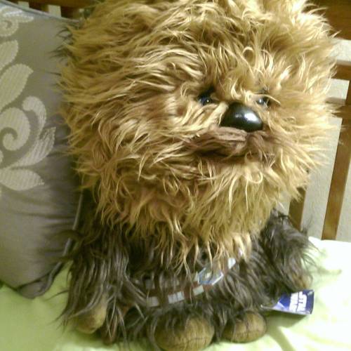 Home is where the wookie is. He Raarrrws when you squeeze his stomach & everything.#chewiesmycop