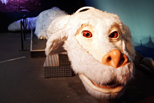 Bavaria Film Studios in Munich has a number of props from the Neverending Story on display. Since Ne