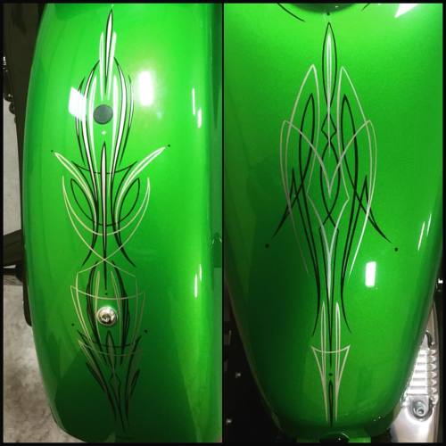 Harley Davidson Sportster 48 I striped up this weekend. #107 #107pinstriping #pinstriping #freehandp