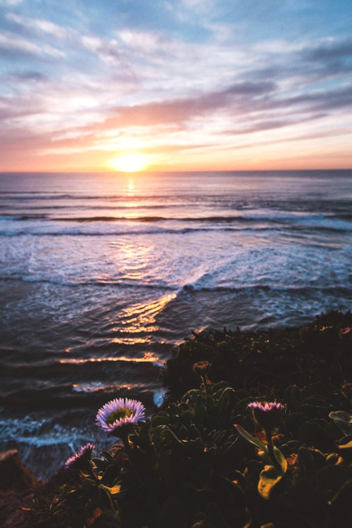 XXX lsleofskye:  Pacifica, California photo