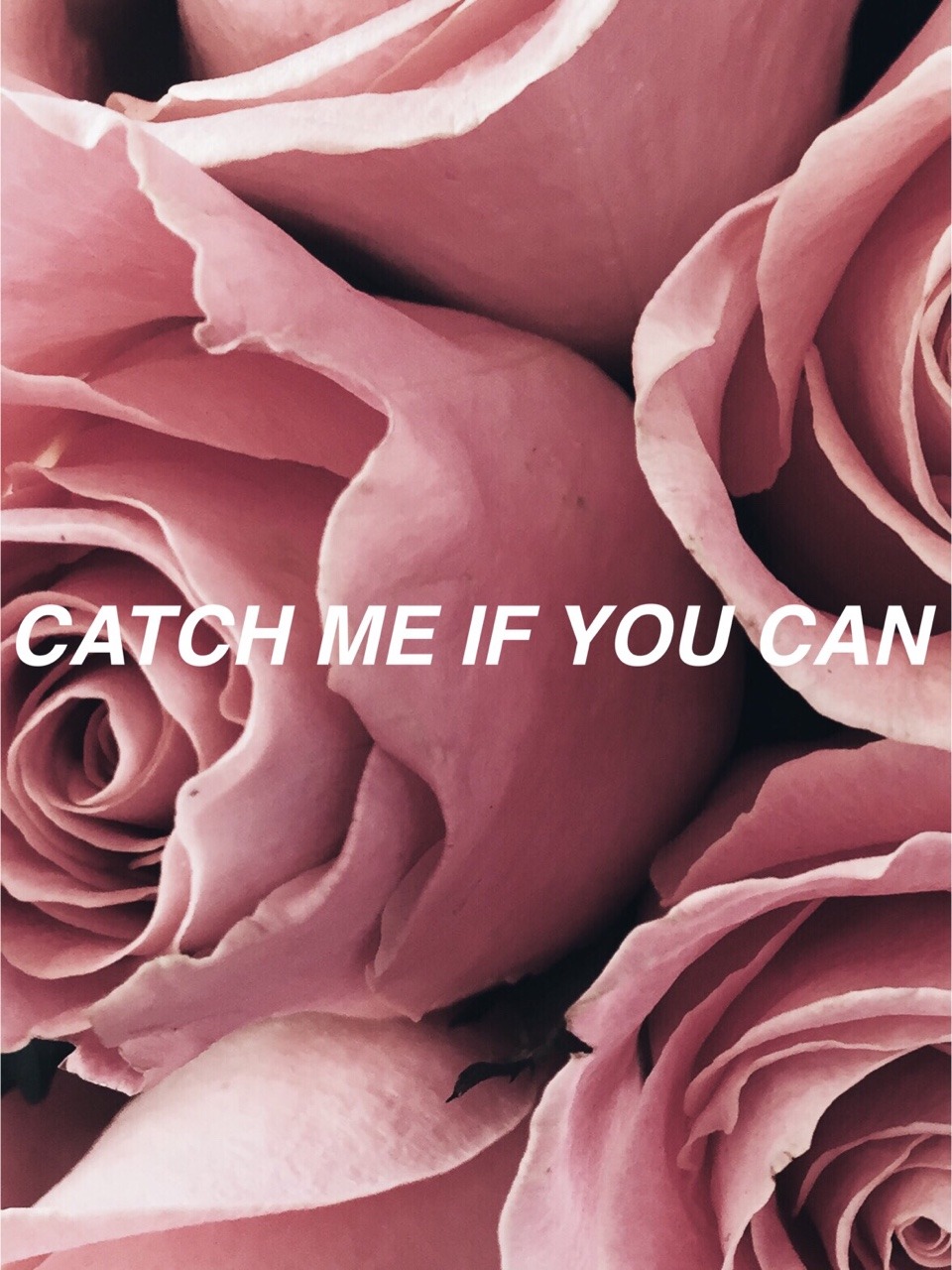 prince-diamandis:  Slavatore - Lana Del Rey