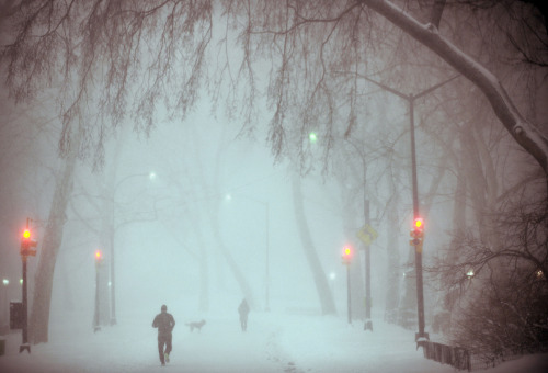 fotojournalismus:Central Park, New York City on January 23, 2016 (Astrid Riecken/Getty Images)