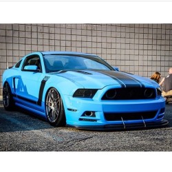 musclefords:  @igfords #ford#Mustang#SVT tag-&gt; #american_muscle_mustangs repost from @slammedstangs / stance like a Boss