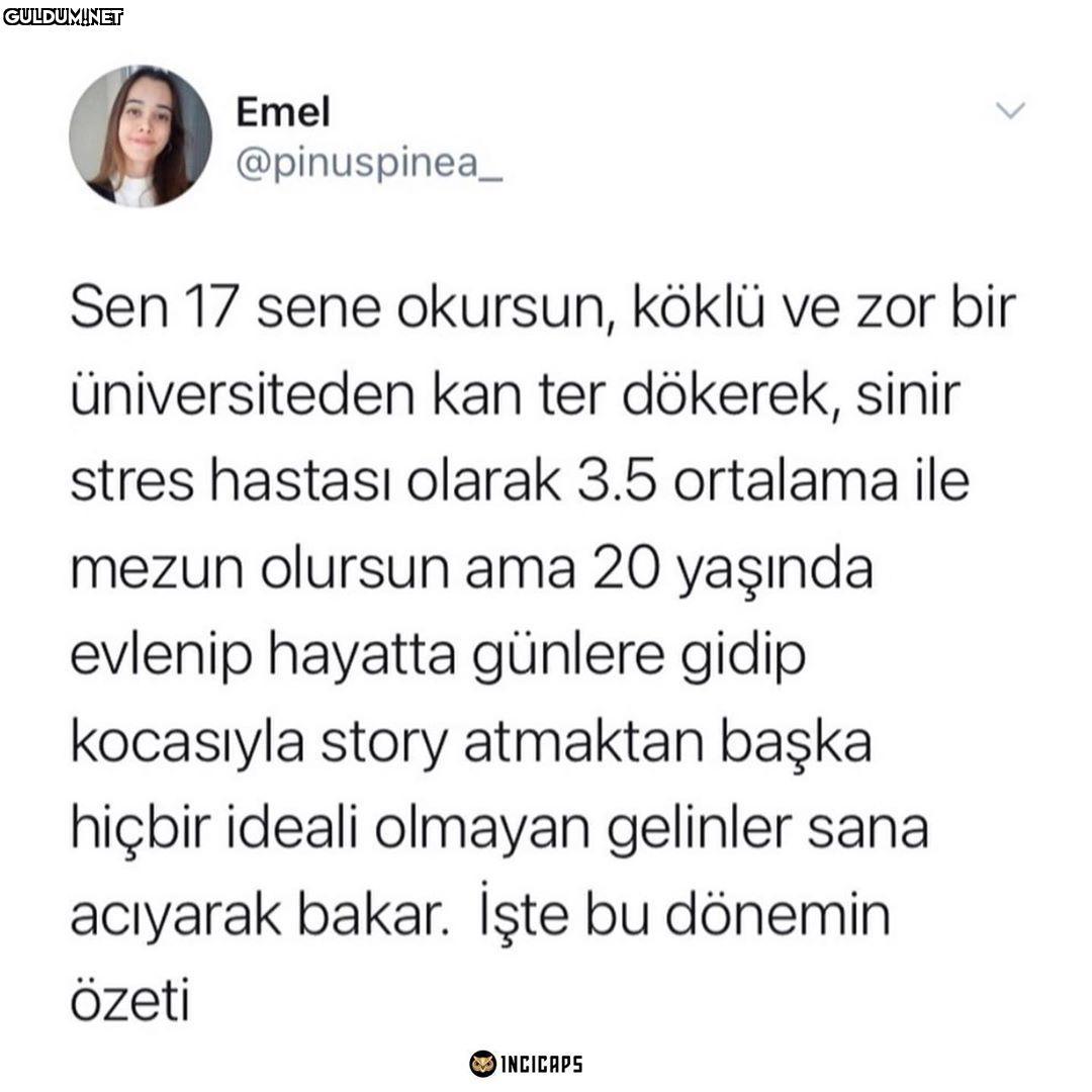 Emel @pinuspinea_ Sen 17...