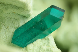 underthescopemineral:  Dioptase CuSiO3·H2O Locality:Omaue Mine, Kaokoveld Plateau, Kunene Region, Namibia Field of View: 5.64 mm  Collection and photo: Michael Förch  Dioptase is named after Greek word for “view through” referring to the mineral’s