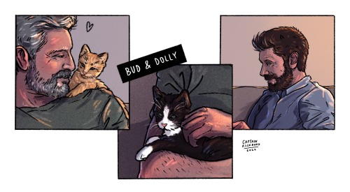 I Bet (hope) This Is What It Looked Like When Ben First Met Bud & Dolly (Larry's Kittens)
