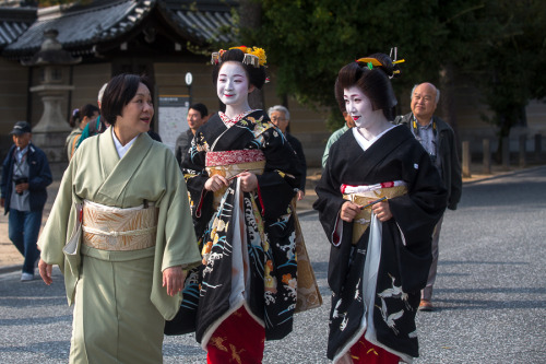 Ichikoma&rsquo;s misedashi, by PradoHow proudly happy she looks!