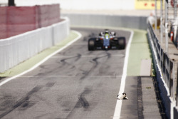 mistressemmedi:  Intruder on the pitlane for today’s testing. The Autosport journalist named him Nikat Lauda