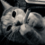 mikabitten