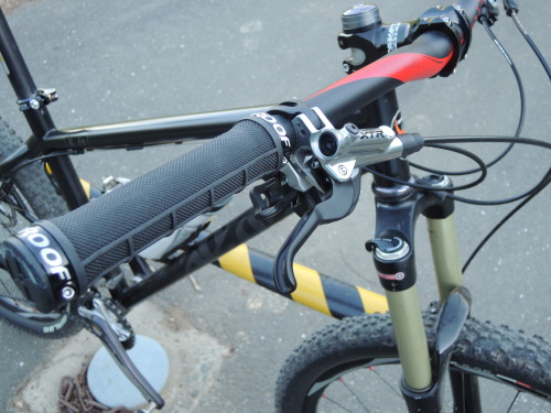 eng-kbz: COTIC　Bfe　